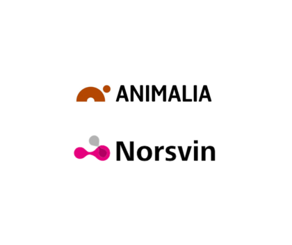 Logoen til Animalia og Norsvin